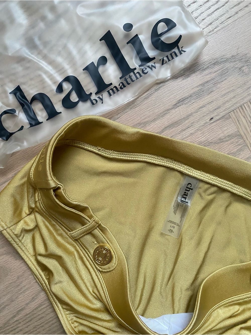 Charlie by Matthew Zink Metallic Gold Men’s Swim Briefs - Picture 3 of 6